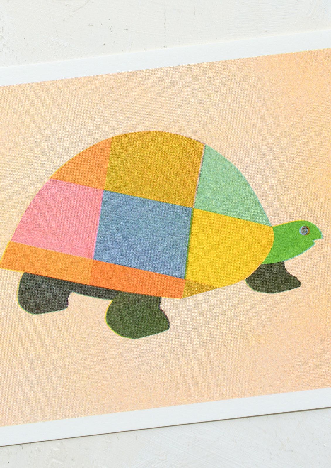 Patchwork Tortoise Print