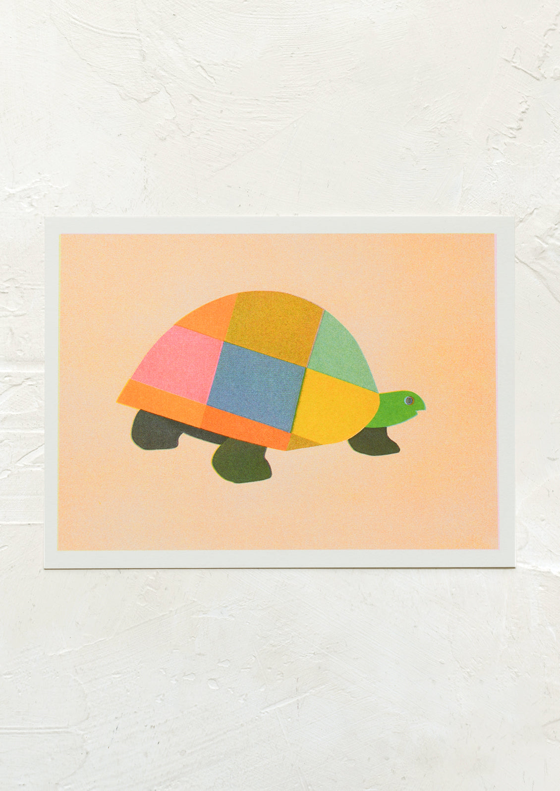 Patchwork Tortoise Print