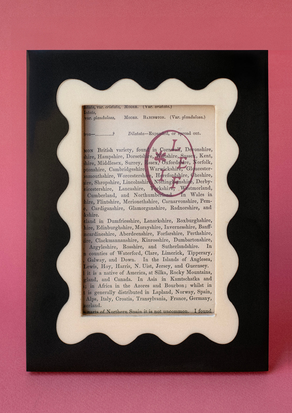 Two Tone Squiggle Picture Frame