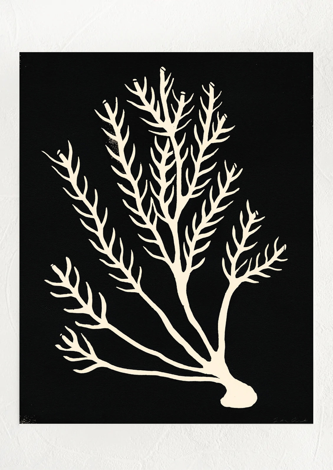 Underwater Plant Life #10