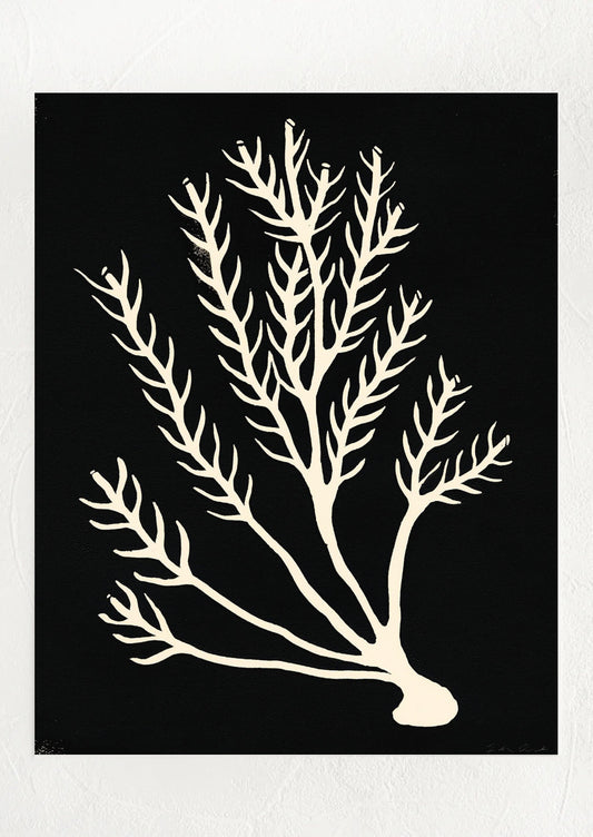 Underwater Plant Life #10