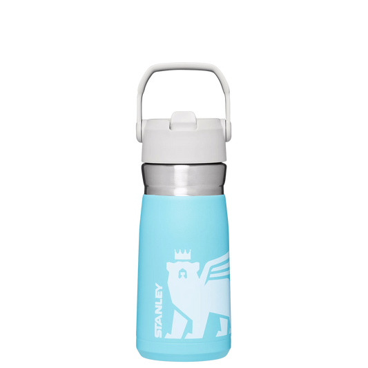The Wild Imagination IceFlow™ Flip Straw Water Bottle | 17 OZ