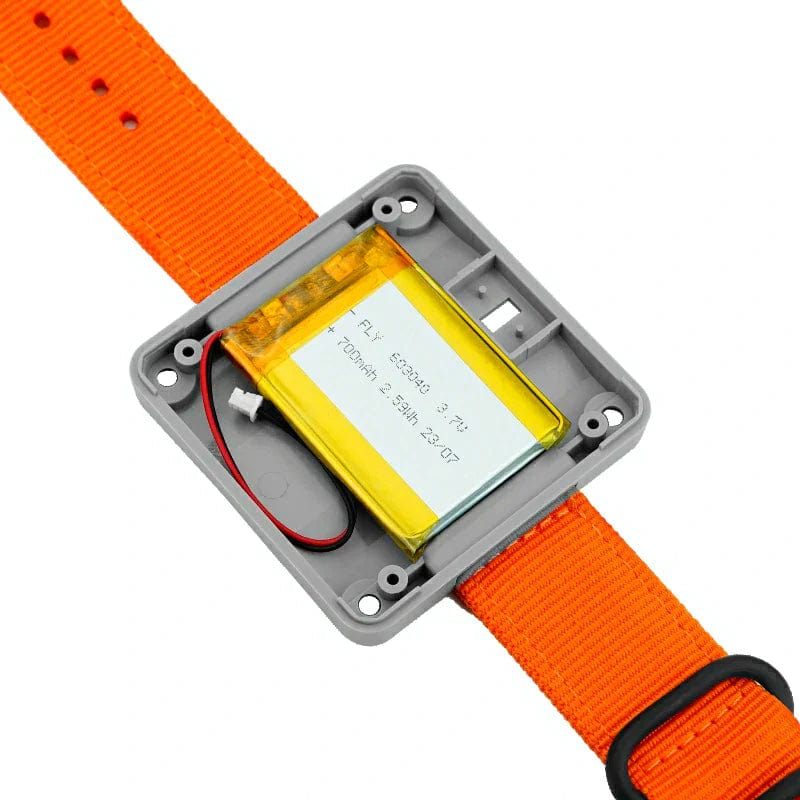Watch Development Kit with Orange Strap (Excluding Core) v1.1