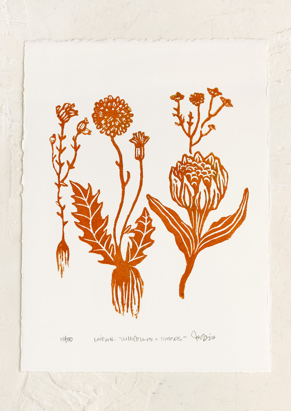 Wildflowers & Weeds Print